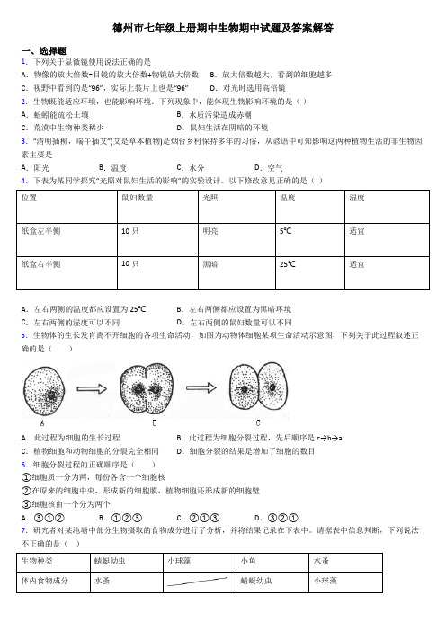 德州市七年级上册期中生物期中试题及答案解答