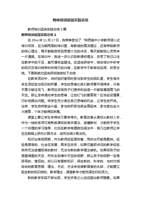 教师培训返岗实践总结