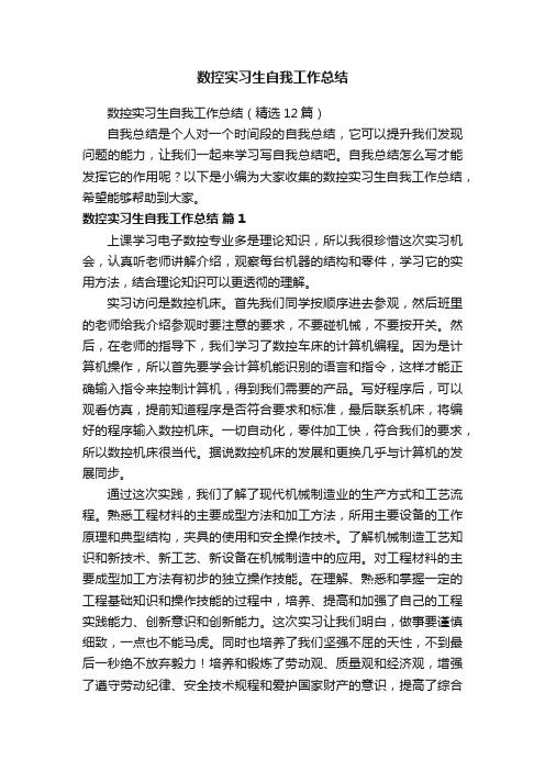 数控实习生自我工作总结（精选12篇）