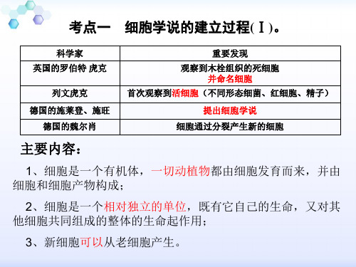 邓功拉内蒙古师大附中专题二细胞的结构和功能学案答案.ppt