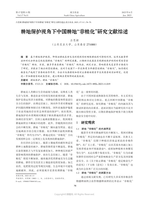 耕地保护视角下中国耕地“非粮化”研究文献综述