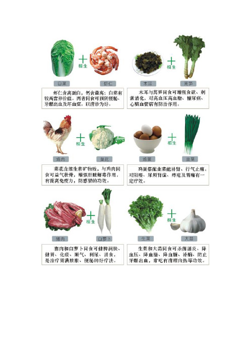 食物相生相克图