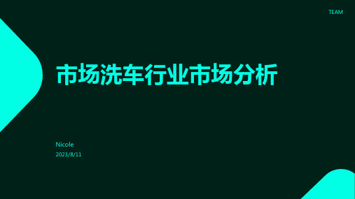 2023年洗车行业市场分析