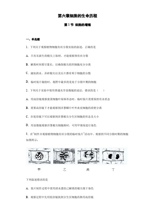 高中生物第一册 6 1 细胞的增殖 练习