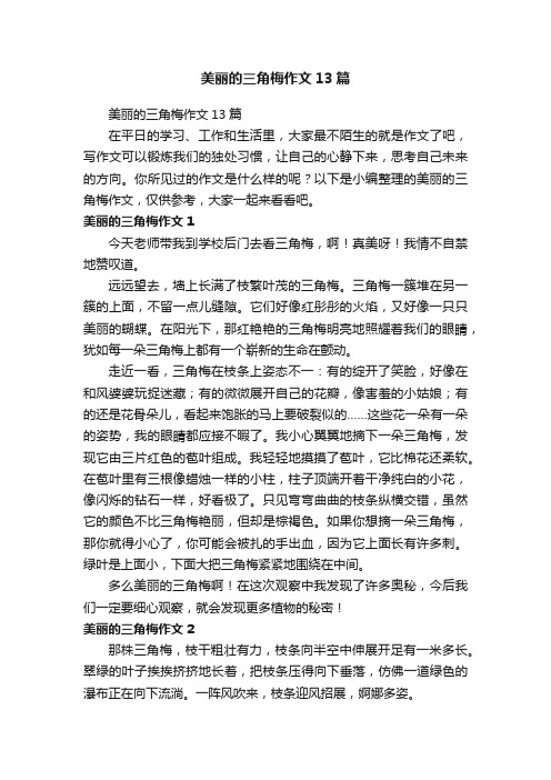 美丽的三角梅作文13篇