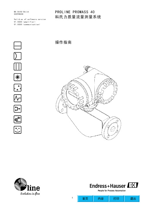 PROLINE PROMASS 40科氏力质量流量测量系统 操作指南