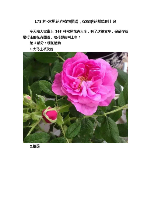 173种·常见花卉植物图谱，保你啥花都能叫上名