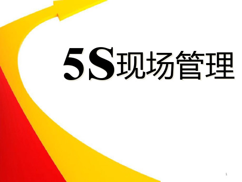 5S现场管理(精益求精,追求卓越)