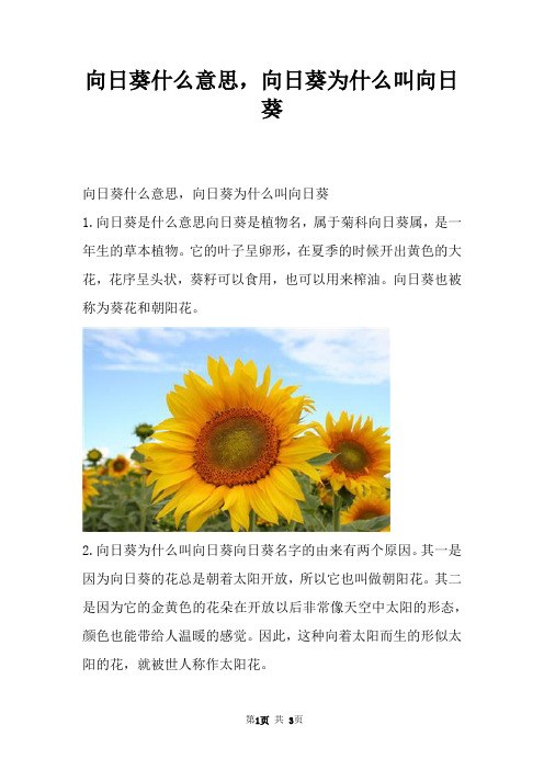 向日葵什么意思，向日葵为什么叫向日葵