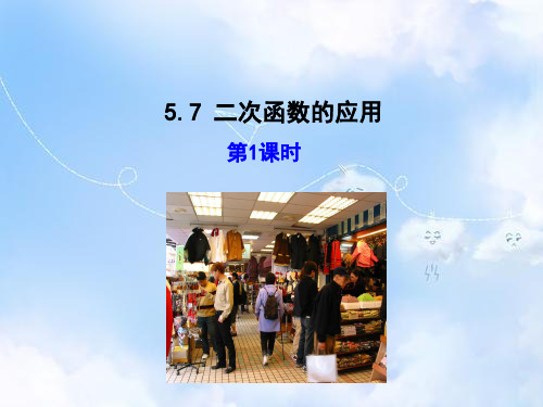 青岛版初中数学九年级下册《5.7二次函数的应用》PPT课件 (5)