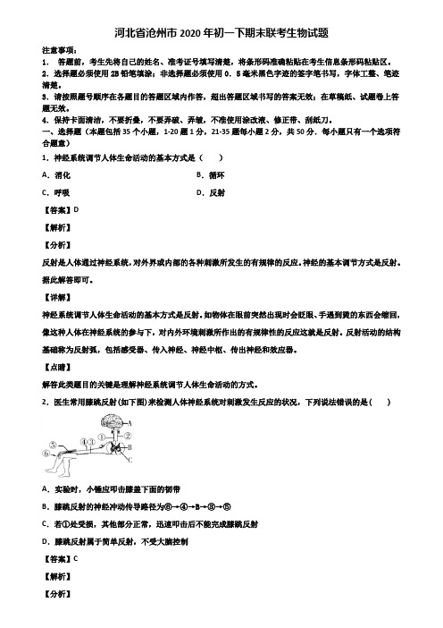 河北省沧州市2020年初一下期末联考生物试题含解析