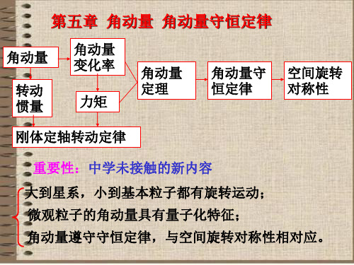 角动量、角动量守恒定律的分析