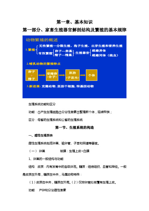 第一章、家畜生殖器官解剖结构及繁殖的基本规律