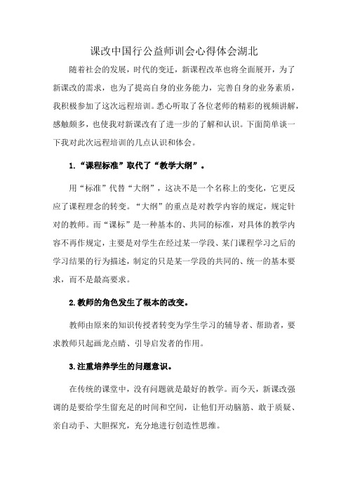 课改中国行公益师训会心得体会湖北