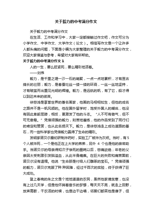 关于毅力的中考满分作文