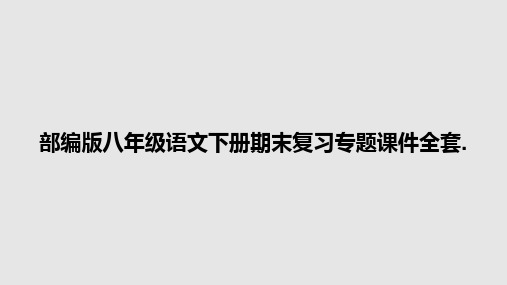 部编版八年级语文下册期末复习专题全套.PPT学习教案