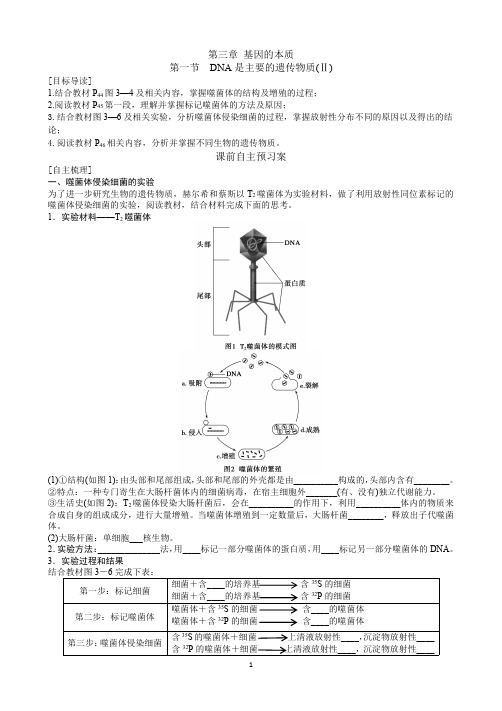 河北省石家庄市第二中学高一人教版必修二学案：31噬菌体侵染实验2