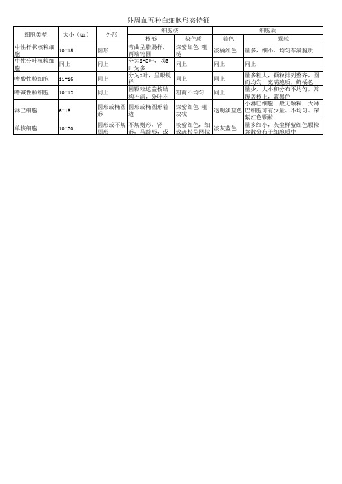 外周血五种白细胞形态特征