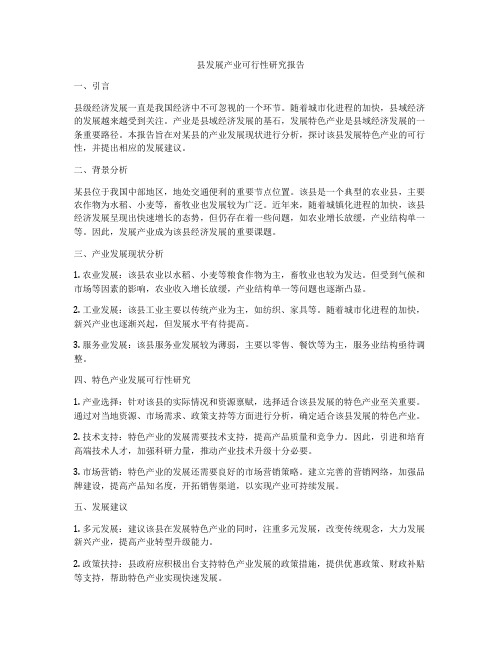 县发展产业可行性研究报告