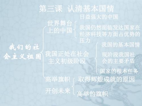 九年级政治上册 第二单元之第三课《认清基本国情》复习课件 人教新课标版