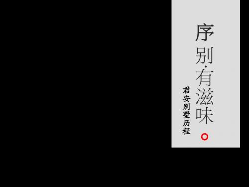 合肥君安国际置业_滨湖别墅推广策略思考_180PPT