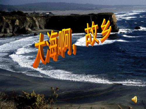 大海啊故乡(共14张PPT)