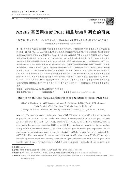 NR2F2基因调控猪PK15细胞增殖和凋亡的研究