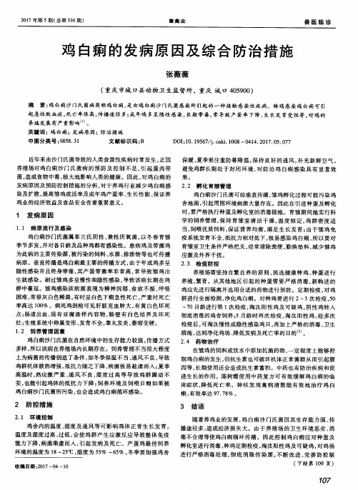 鸡白痢的发病原因及综合防治措施