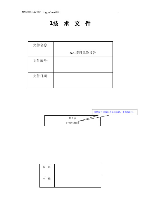 《项目风险报告》模板