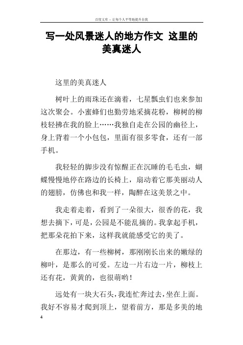 写一处风景迷人的地方作文这里的美真迷人