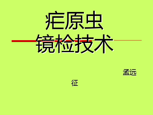 疟原虫镜下鉴别要点及镜下图