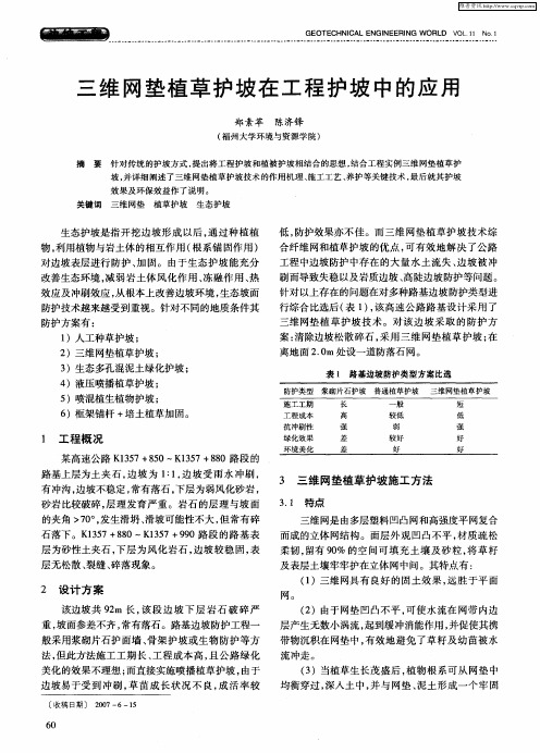 三维网垫植草护坡在工程护坡中的应用