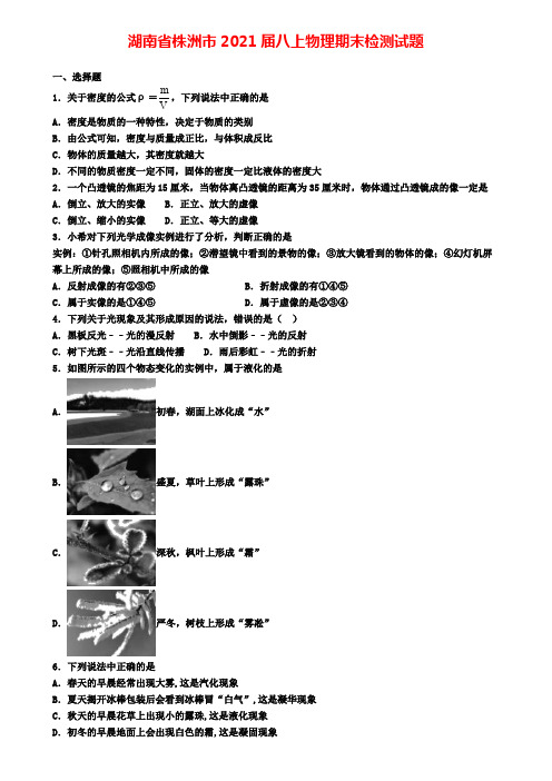 湖南省株洲市2021届八上物理期末检测试题