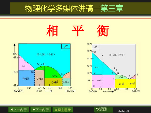 物理化学-相平衡