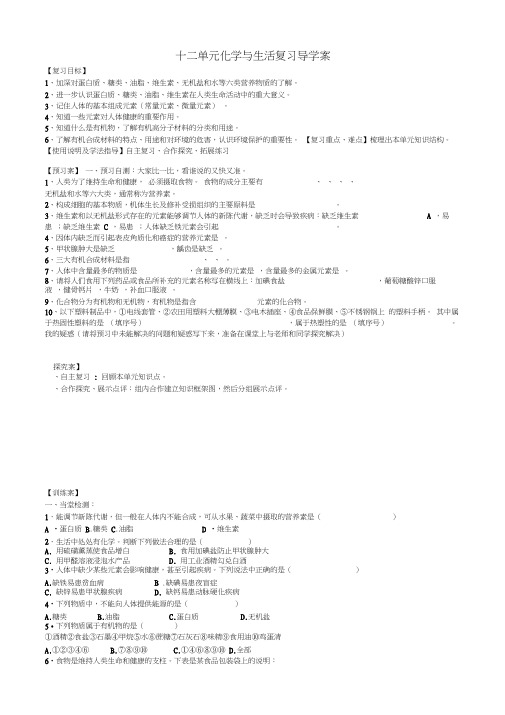 甘肃省玉门市花海中学九年级化学下册第十二单元化学与生活复习导学案(无答案)新人教版