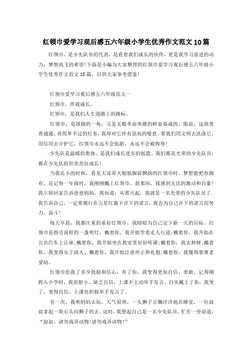 红领巾爱学习观后感五六年级小学生优秀作文范文10篇