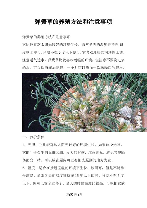 弹簧草的养殖方法和注意事项