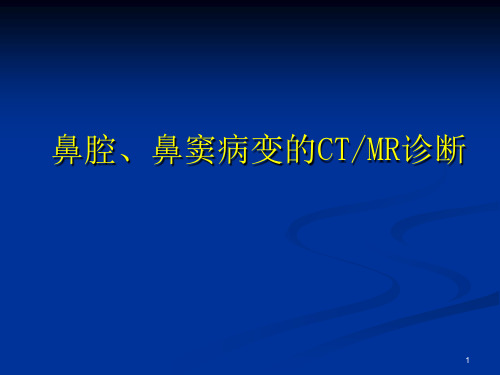 鼻腔鼻窦病变的CTMR诊断ppt课件