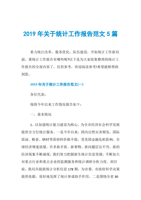 2019年关于统计工作报告范文5篇