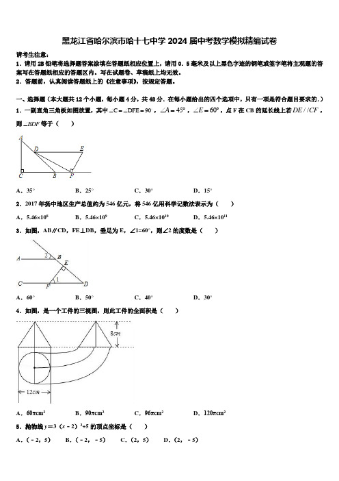 黑龙江省哈尔滨市哈十七中学2024届中考数学模拟精编试卷含解析