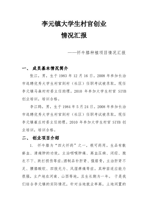 李元镇大学生村官创业情况汇报