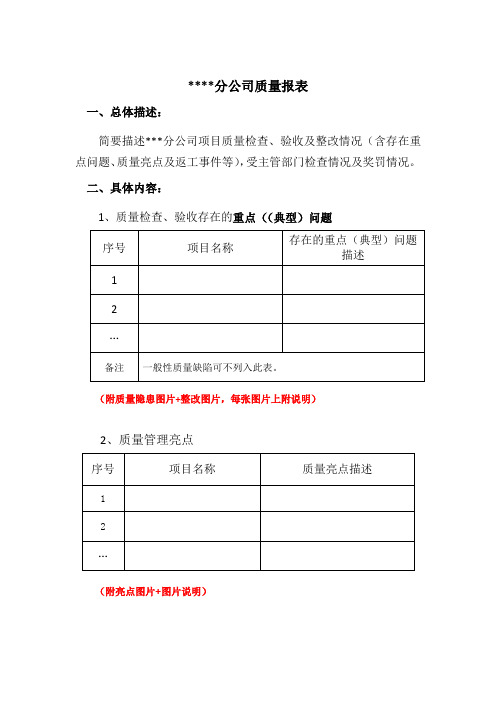 分公司质量报表(模板)