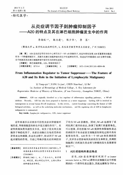 从炎症调节因子到肿瘤抑制因子——A20的特点及其在淋巴细胞肿瘤发生中的作用