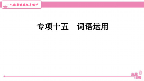 最新人教版中考英语复习课件专项十五 词语运用