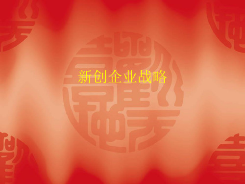 新创企业战略