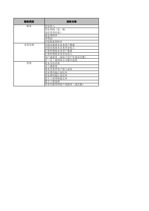 某广电网络公司级业绩评价指标