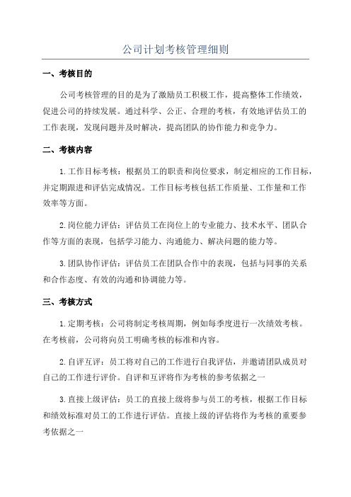 公司计划考核管理细则