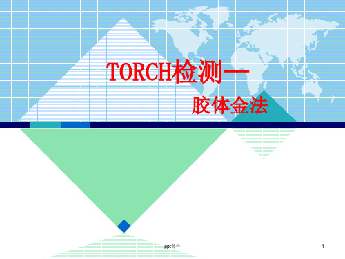 TORCH检测 ppt课件