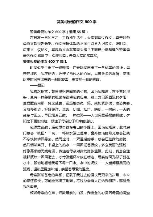 赞美母爱的作文600字