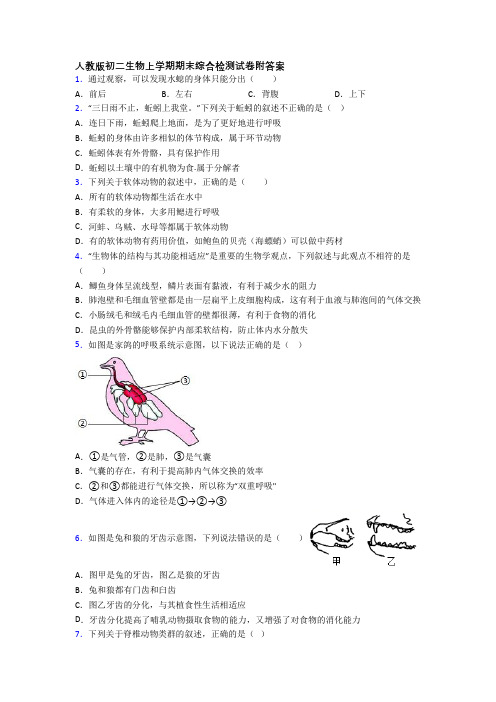 人教版初二生物上学期期末综合检测试卷附答案